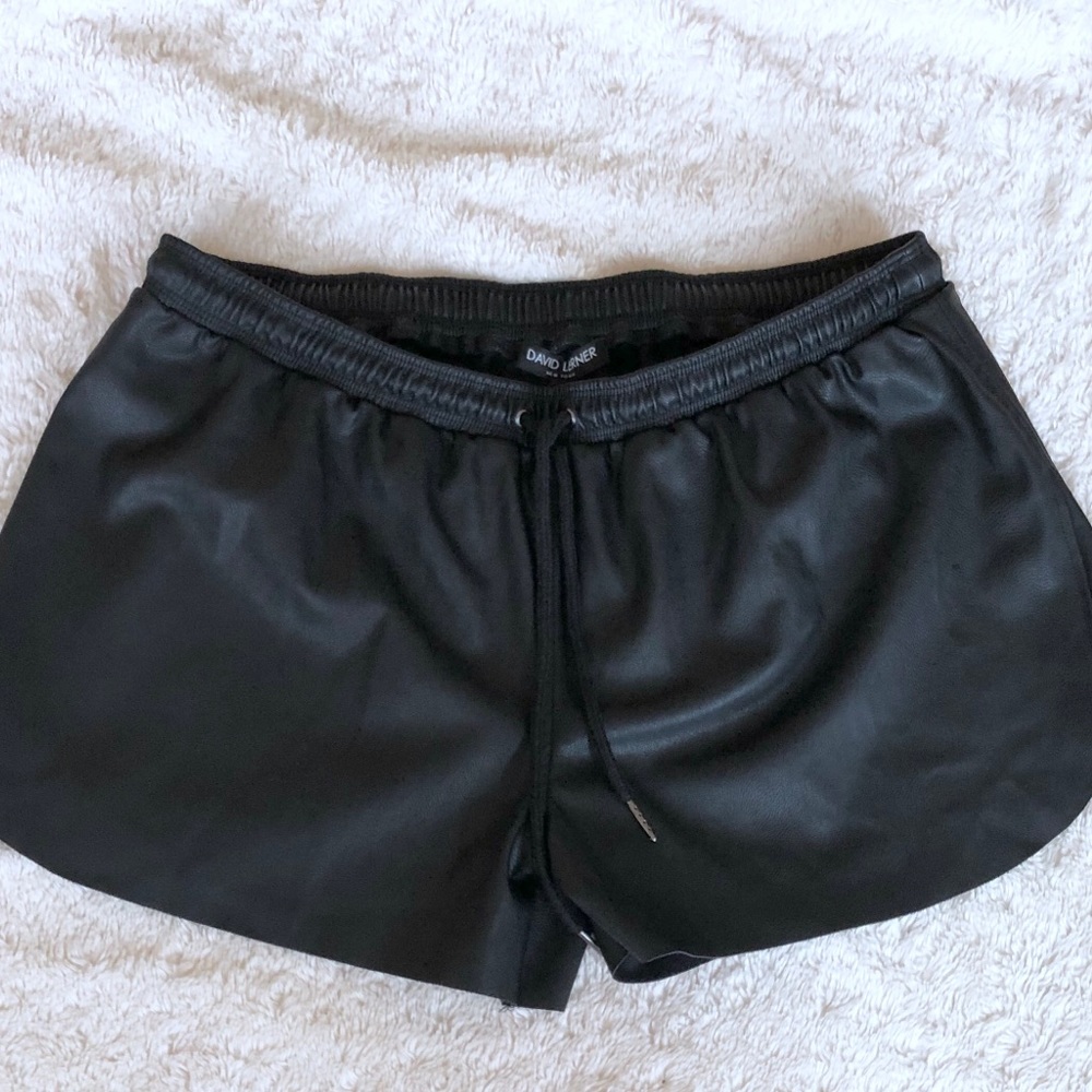 David Lerner shorts